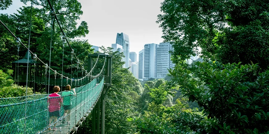 Kaksi naista kävelee riippusillalla Kuala Lumpurin KL Forest Eco Parkissa