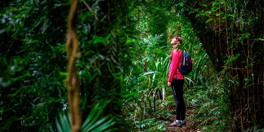 Naisia tutkimassa Lamingtonin kansallispuistoa Australiassa