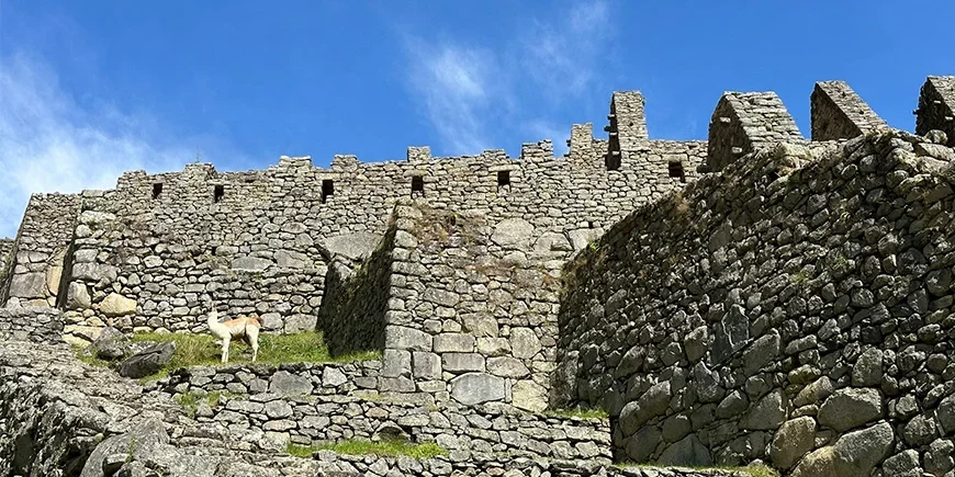 Lähellä Machu Picchun raunioita