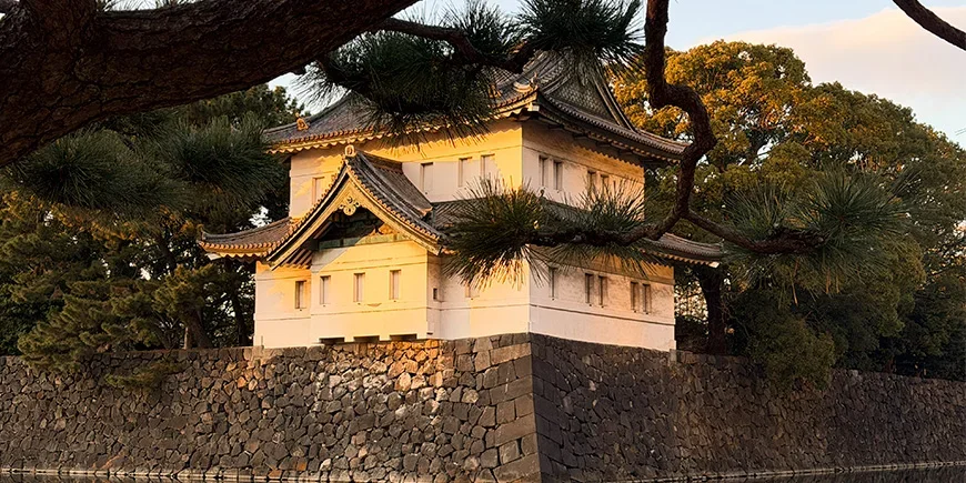 Tokion keisarillinen palatsi sivulta