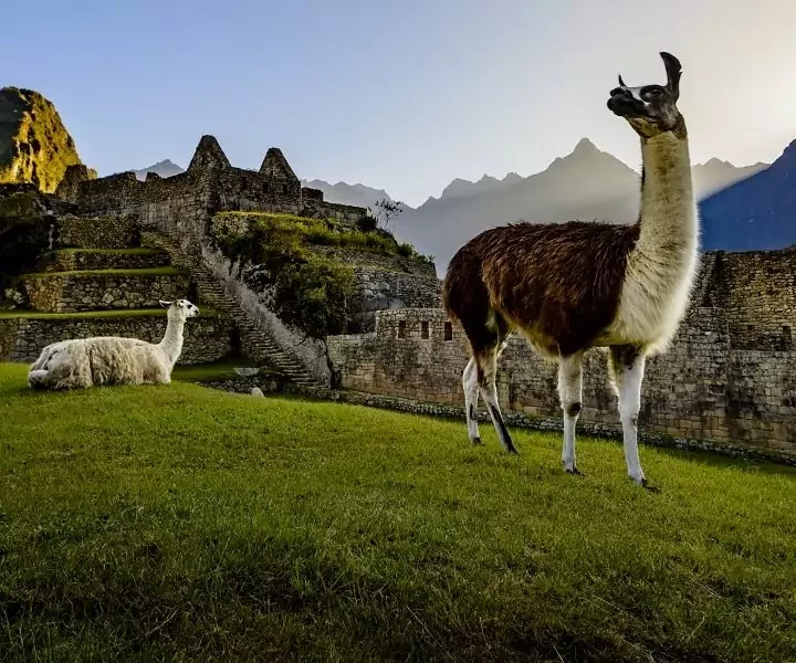 Peru