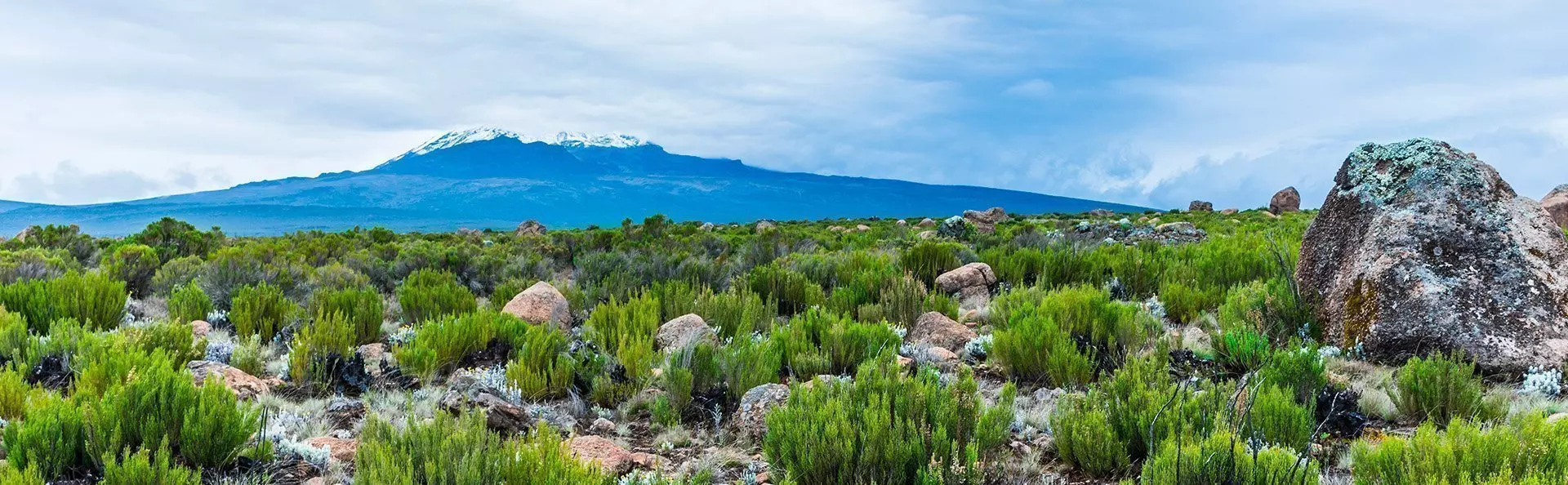 Näkymä Lemosho-reitiltä Kilimanjarolle