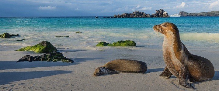 Ecuador/Galápagossaaret