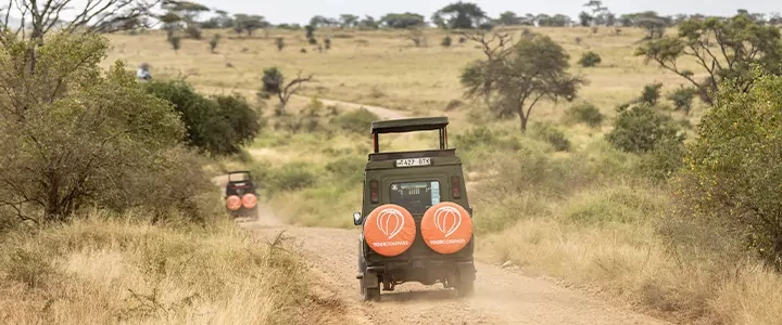 Afrikan 5 parasta safarikohdetta