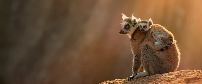 Madagaskar