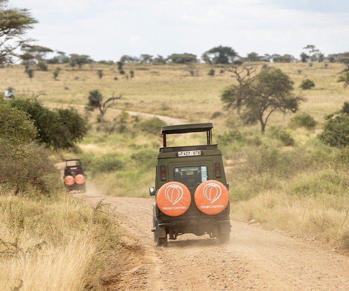 Afrikan 5 parasta safarikohdetta