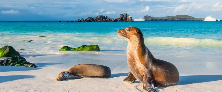 Ecuador/Galápagossaaret