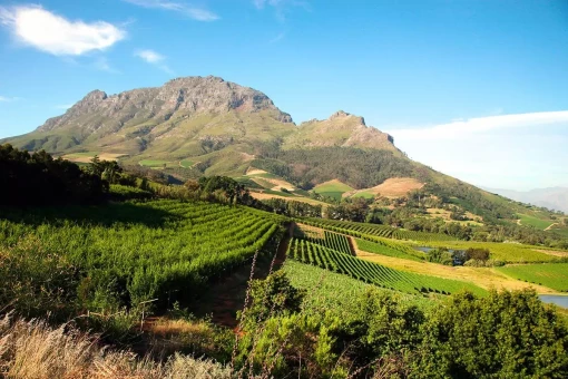 Kapkaupungin ulkopuolella voit nauttia kauniista näköaloista viiniviljelmille ja vuorille